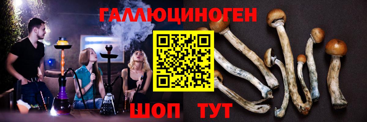Галлюциногенные грибы мухоморы  Галлюциногенные грибы Magic Shrooms  Вход с VPN  Острогожск 